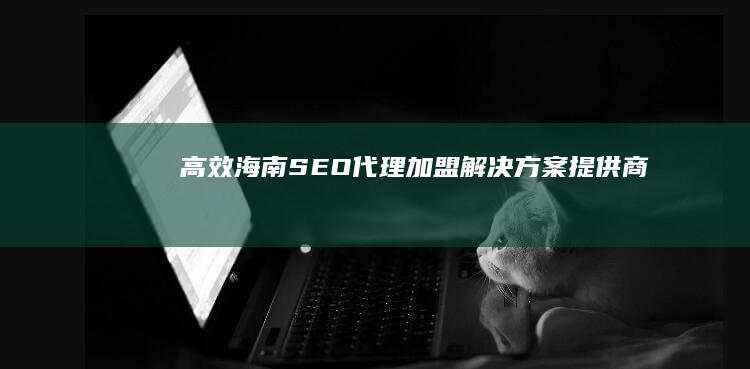 高效海南SEO代理加盟解决方案提供商